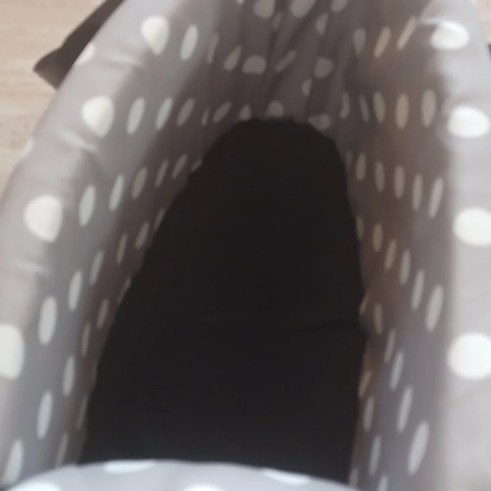 NODRUN Polka Dot Pet Carrier with Pillow